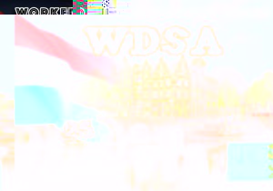 UA4NR-WDSA-II.jpg