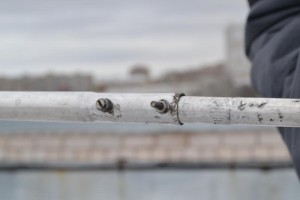 DSC_0584.JPG