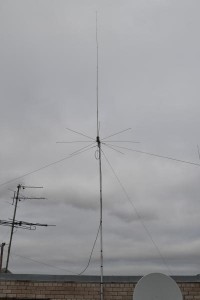 DSC_0595.JPG