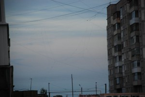 DSC_0234.JPG